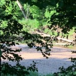 IMG_0365